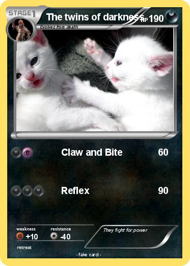 Pokemon The twins of darkness