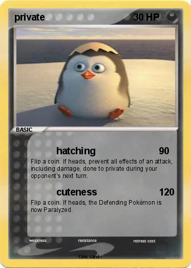 Pokemon private