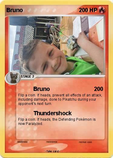 Pokemon Bruno