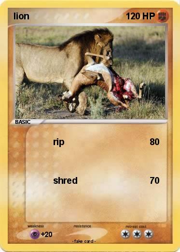 Pokemon lion