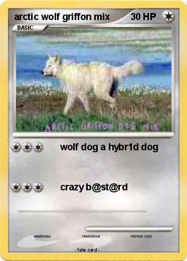 Pokemon arctic wolf griffon mix