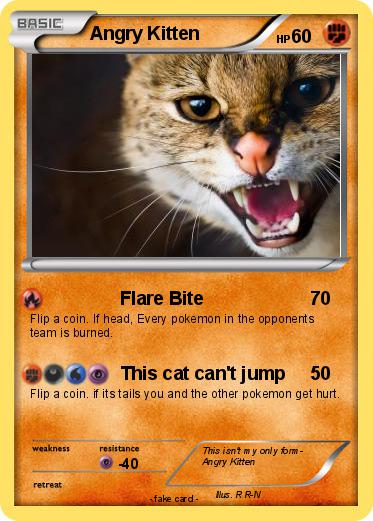 Pokemon Angry Kitten