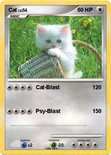 Pokemon Cat