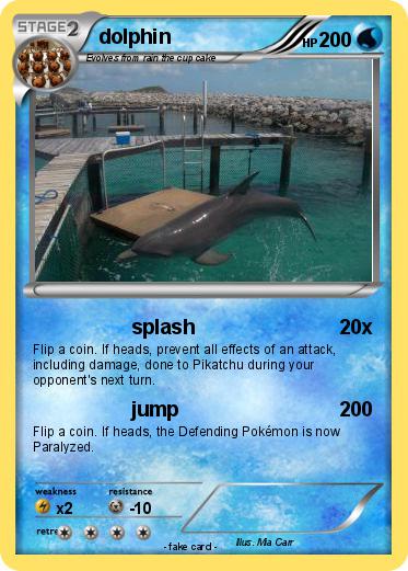 Pokemon dolphin