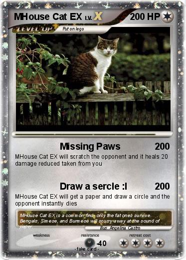 Pokemon MHouse Cat EX