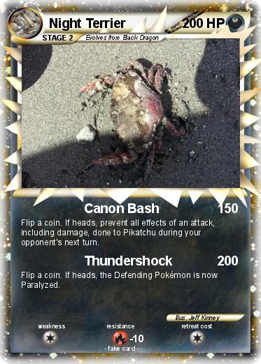 Pokemon Night Terrier
