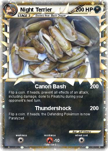 Pokemon Night Terrier