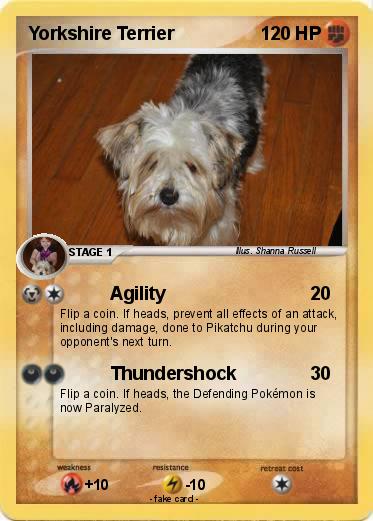 Pokemon Yorkshire Terrier