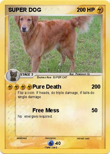 Pokemon SUPER DOG