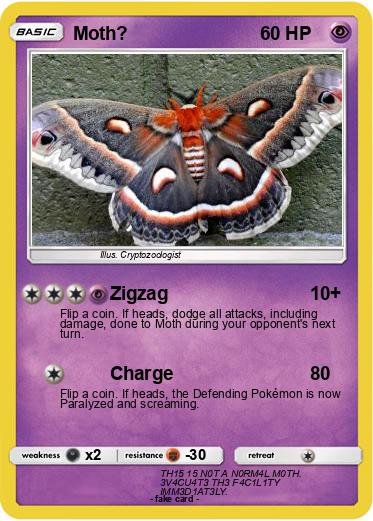 Pokemon Moth?