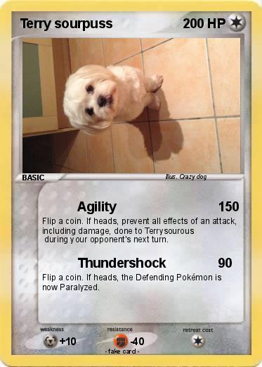 Pokemon Terry sourpuss