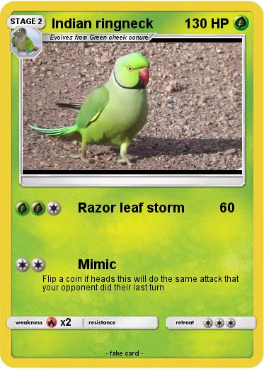 Pokemon Indian ringneck