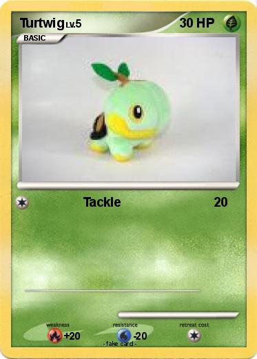 Pokemon Turtwig
