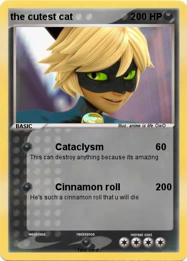 Pokemon the cutest cat