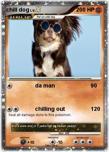 Pokemon chill dog
