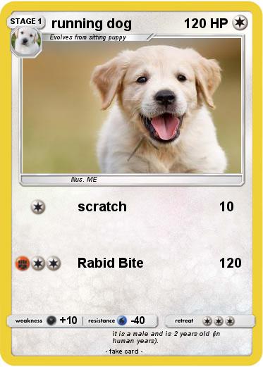 Pokemon running dog