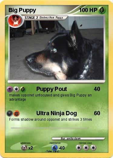 Pokemon Big Puppy