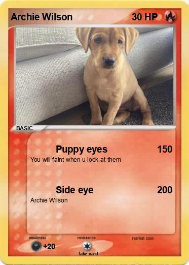 Pokemon Archie Wilson