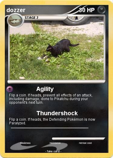 Pokemon dozzer