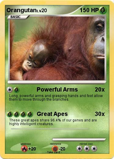 Pokemon Orangutan