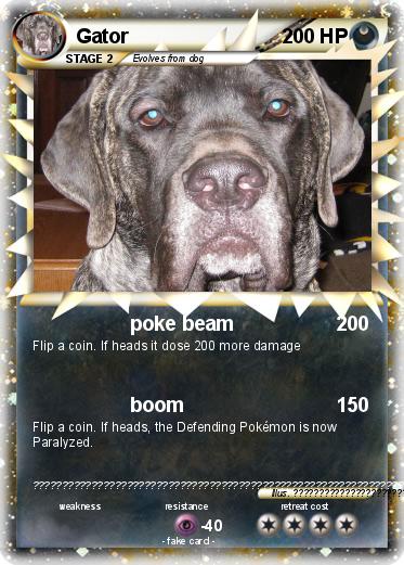 Pokemon Gator