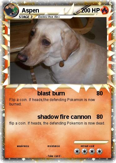 Pokemon Aspen