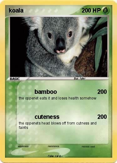 Pokemon koala