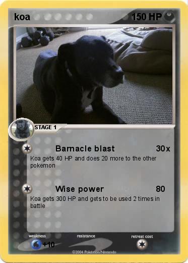 Pokemon koa