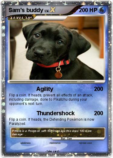 Pokemon Sam's buddy