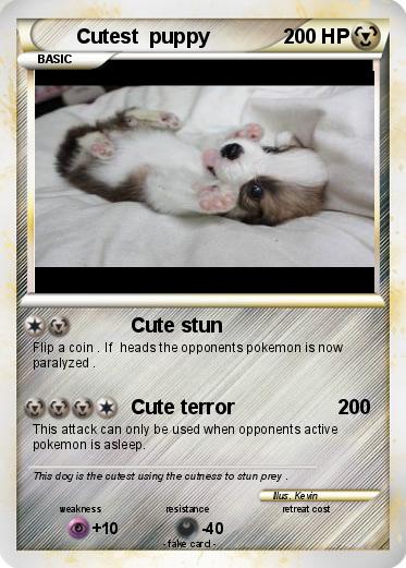 Pokemon Cutest  puppy