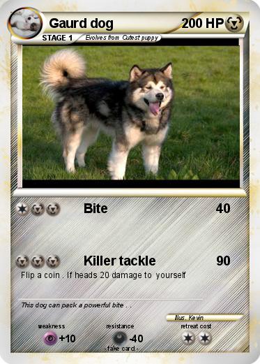 Pokemon Gaurd dog