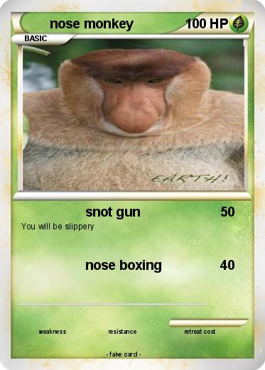 Pokemon nose monkey