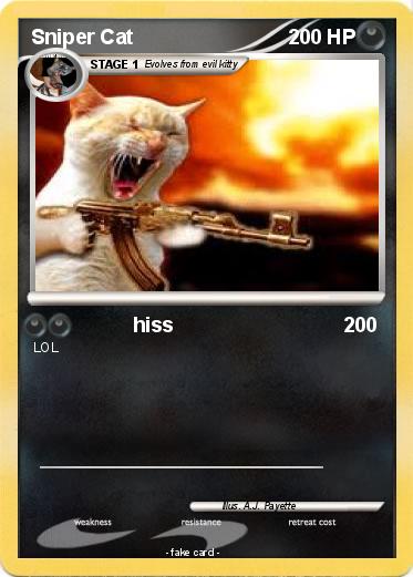Pokemon Sniper Cat