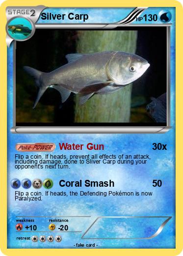 Pokemon Silver Carp