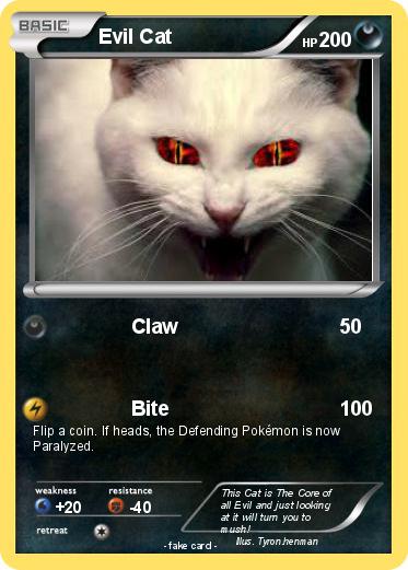 Pokemon Evil Cat