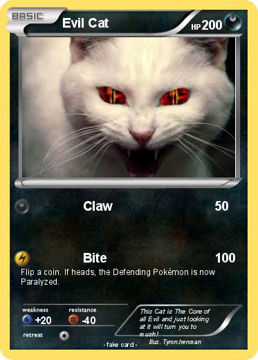 Pokemon Evil Cat