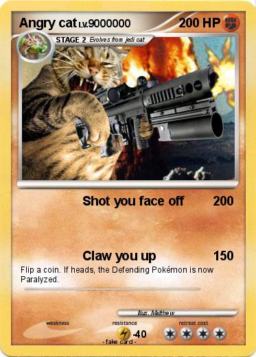 Pokemon Angry cat