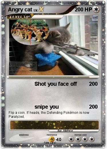 Pokemon Angry cat
