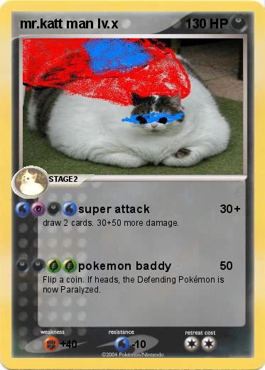 Pokemon mr.katt man lv.x