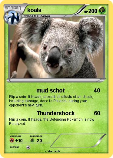 Pokemon koala