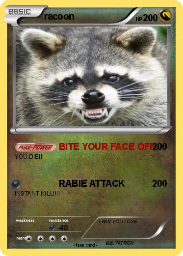 Pokemon racoon