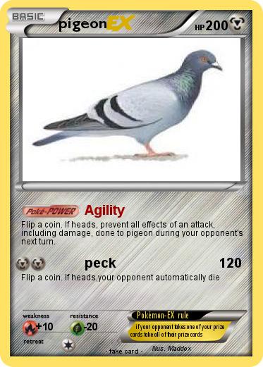 Pokemon pigeon