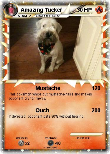 Pokemon Amazing Tucker