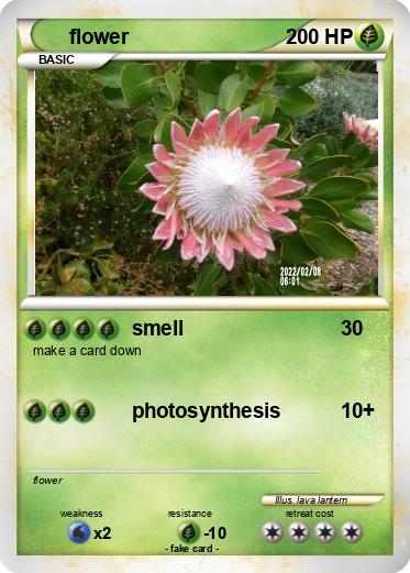 Pokemon flower
