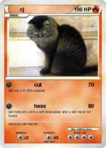 Pokemon cj
