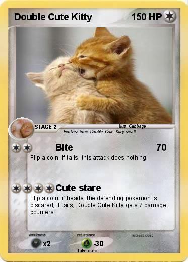 Pokemon Double Cute Kitty