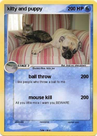 Pokemon kitty and puppy