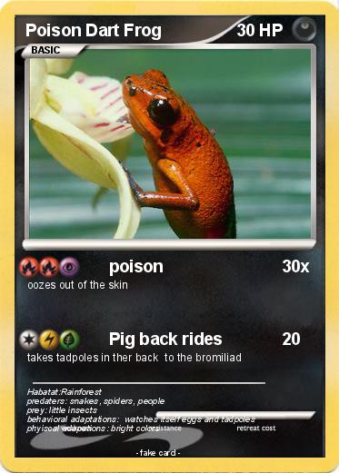 Pokemon Poison Dart Frog