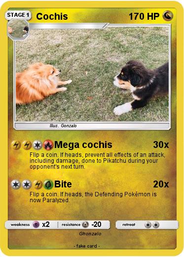 Pokemon Cochis