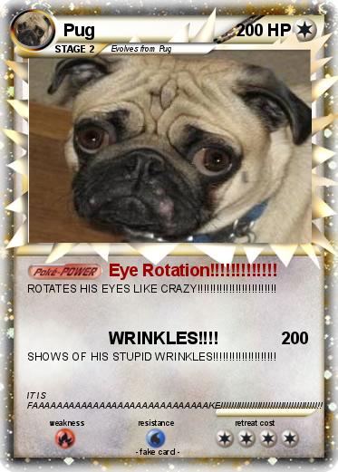 Pokemon Pug